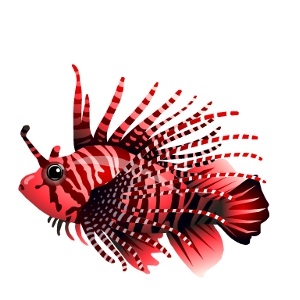 Crimson Stripe Lionfish